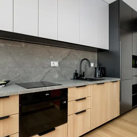 Appartement Air Conditioned In With Desk And Parking By Renters Rzeszów