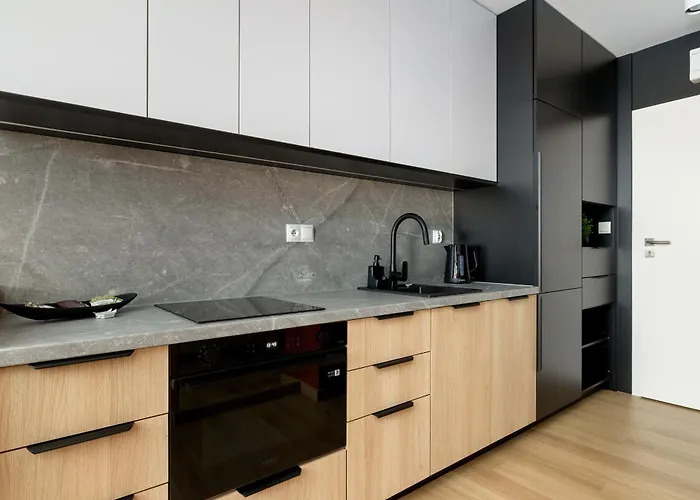 Appartement Air Conditioned In With Desk And Parking By Renters Rzeszów