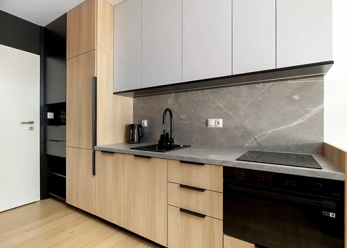 Air Conditioned In With Desk And Parking By Renters Rzeszów